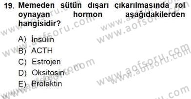 İnsan Anatomisi Ve Fizyolojisi Dersi 2012 - 2013 Yılı (Final) Dönem Sonu Sınav Soruları 19. Soru