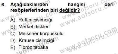 İnsan Anatomisi Ve Fizyolojisi Dersi 2012 - 2013 Yılı (Final) Dönem Sonu Sınav Soruları 6. Soru