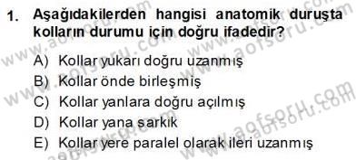 İnsan Anatomisi Ve Fizyolojisi Dersi Ara Sınavı Deneme Sınav Soruları 1. Soru