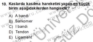 İnsan Anatomisi Ve Fizyolojisi Dersi Ara Sınavı Deneme Sınav Soruları 10. Soru