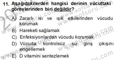 İnsan Anatomisi Ve Fizyolojisi Dersi Ara Sınavı Deneme Sınav Soruları 11. Soru
