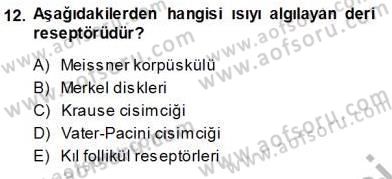 İnsan Anatomisi Ve Fizyolojisi Dersi Ara Sınavı Deneme Sınav Soruları 12. Soru