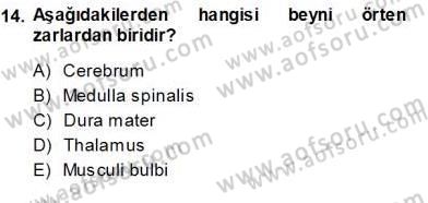 İnsan Anatomisi Ve Fizyolojisi Dersi Ara Sınavı Deneme Sınav Soruları 14. Soru