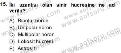 İnsan Anatomisi Ve Fizyolojisi Dersi Ara Sınavı Deneme Sınav Soruları 15. Soru