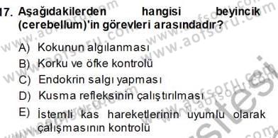 İnsan Anatomisi Ve Fizyolojisi Dersi Ara Sınavı Deneme Sınav Soruları 17. Soru
