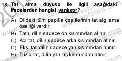 İnsan Anatomisi Ve Fizyolojisi Dersi Ara Sınavı Deneme Sınav Soruları 18. Soru