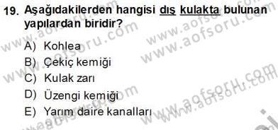 İnsan Anatomisi Ve Fizyolojisi Dersi Ara Sınavı Deneme Sınav Soruları 19. Soru