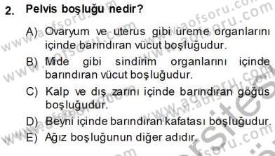 İnsan Anatomisi Ve Fizyolojisi Dersi Ara Sınavı Deneme Sınav Soruları 2. Soru