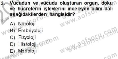 İnsan Anatomisi Ve Fizyolojisi Dersi 2013 - 2014 Yılı (Vize) Ara Sınavı 3. Soru