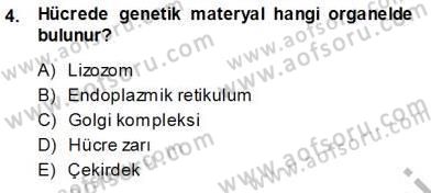 İnsan Anatomisi Ve Fizyolojisi Dersi Ara Sınavı Deneme Sınav Soruları 4. Soru