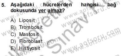 İnsan Anatomisi Ve Fizyolojisi Dersi Ara Sınavı Deneme Sınav Soruları 5. Soru
