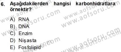 İnsan Anatomisi Ve Fizyolojisi Dersi Ara Sınavı Deneme Sınav Soruları 6. Soru