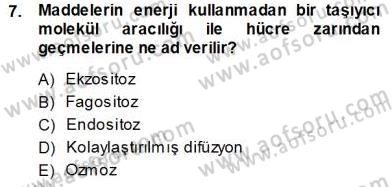 İnsan Anatomisi Ve Fizyolojisi Dersi Ara Sınavı Deneme Sınav Soruları 7. Soru