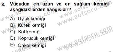 İnsan Anatomisi Ve Fizyolojisi Dersi Ara Sınavı Deneme Sınav Soruları 8. Soru