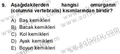 İnsan Anatomisi Ve Fizyolojisi Dersi Ara Sınavı Deneme Sınav Soruları 9. Soru