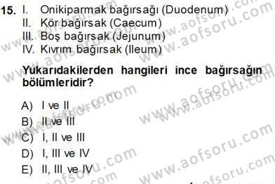 İnsan Anatomisi Ve Fizyolojisi Dersi 2013 - 2014 Yılı (Final) Dönem Sonu Sınavı 15. Soru