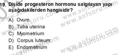 İnsan Anatomisi Ve Fizyolojisi Dersi 2013 - 2014 Yılı (Final) Dönem Sonu Sınavı 19. Soru