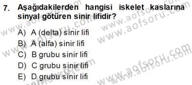 İnsan Anatomisi Ve Fizyolojisi Dersi 2013 - 2014 Yılı (Final) Dönem Sonu Sınavı 7. Soru