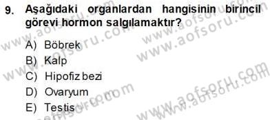 İnsan Anatomisi Ve Fizyolojisi Dersi 2013 - 2014 Yılı (Final) Dönem Sonu Sınavı 9. Soru