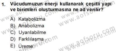 İnsan Anatomisi Ve Fizyolojisi Dersi Ara Sınavı Deneme Sınav Soruları 1. Soru