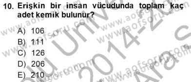 İnsan Anatomisi Ve Fizyolojisi Dersi Ara Sınavı Deneme Sınav Soruları 10. Soru