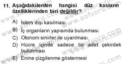 İnsan Anatomisi Ve Fizyolojisi Dersi Ara Sınavı Deneme Sınav Soruları 11. Soru