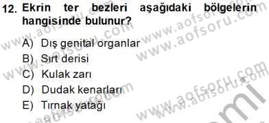 İnsan Anatomisi Ve Fizyolojisi Dersi Ara Sınavı Deneme Sınav Soruları 12. Soru