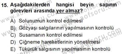İnsan Anatomisi Ve Fizyolojisi Dersi Ara Sınavı Deneme Sınav Soruları 15. Soru