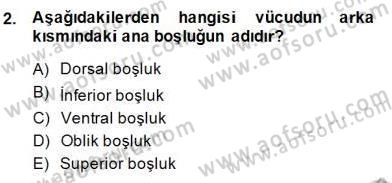 İnsan Anatomisi Ve Fizyolojisi Dersi Ara Sınavı Deneme Sınav Soruları 2. Soru