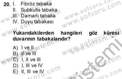 İnsan Anatomisi Ve Fizyolojisi Dersi Ara Sınavı Deneme Sınav Soruları 20. Soru