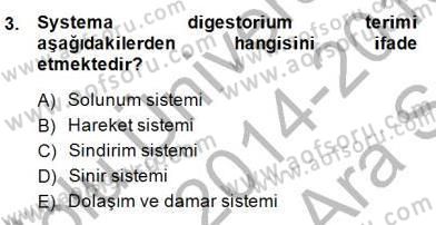 İnsan Anatomisi Ve Fizyolojisi Dersi Ara Sınavı Deneme Sınav Soruları 3. Soru