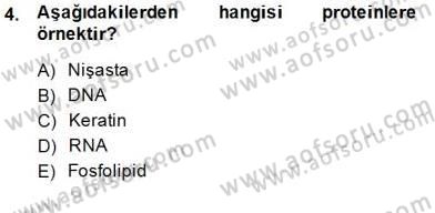 İnsan Anatomisi Ve Fizyolojisi Dersi Ara Sınavı Deneme Sınav Soruları 4. Soru