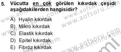 İnsan Anatomisi Ve Fizyolojisi Dersi 2014 - 2015 Yılı (Vize) Ara Sınav Soruları 5. Soru