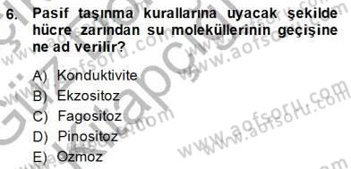 İnsan Anatomisi Ve Fizyolojisi Dersi Ara Sınavı Deneme Sınav Soruları 6. Soru