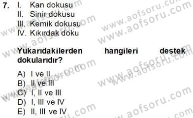 İnsan Anatomisi Ve Fizyolojisi Dersi Ara Sınavı Deneme Sınav Soruları 7. Soru