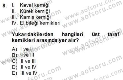 İnsan Anatomisi Ve Fizyolojisi Dersi Ara Sınavı Deneme Sınav Soruları 8. Soru