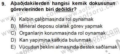 İnsan Anatomisi Ve Fizyolojisi Dersi Ara Sınavı Deneme Sınav Soruları 9. Soru