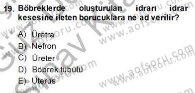 İnsan Anatomisi Ve Fizyolojisi Dersi 2014 - 2015 Yılı (Final) Dönem Sonu Sınavı 19. Soru