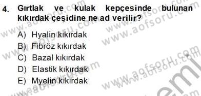 İnsan Anatomisi Ve Fizyolojisi Dersi 2014 - 2015 Yılı (Final) Dönem Sonu Sınavı 4. Soru