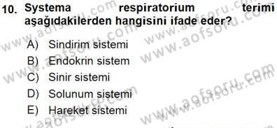 İnsan Anatomisi Ve Fizyolojisi Dersi 2015 - 2016 Yılı (Vize) Ara Sınavı 10. Soru