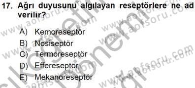 İnsan Anatomisi Ve Fizyolojisi Dersi 2015 - 2016 Yılı (Vize) Ara Sınavı 17. Soru