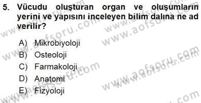 İnsan Anatomisi Ve Fizyolojisi Dersi 2015 - 2016 Yılı (Vize) Ara Sınavı 5. Soru