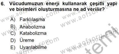 İnsan Anatomisi Ve Fizyolojisi Dersi 2015 - 2016 Yılı (Vize) Ara Sınavı 6. Soru