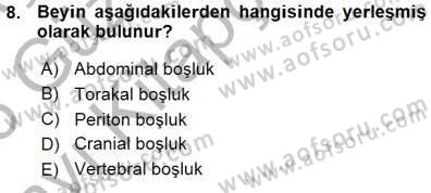 İnsan Anatomisi Ve Fizyolojisi Dersi 2015 - 2016 Yılı (Vize) Ara Sınavı 8. Soru