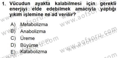 İnsan Anatomisi Ve Fizyolojisi Dersi 2015 - 2016 Yılı (Final) Dönem Sonu Sınavı 1. Soru