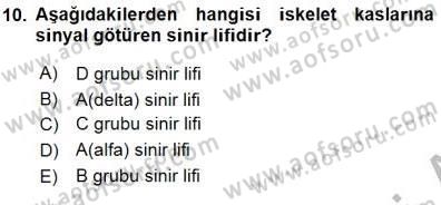 İnsan Anatomisi Ve Fizyolojisi Dersi 2015 - 2016 Yılı (Final) Dönem Sonu Sınavı 10. Soru