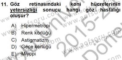 İnsan Anatomisi Ve Fizyolojisi Dersi 2015 - 2016 Yılı (Final) Dönem Sonu Sınavı 11. Soru