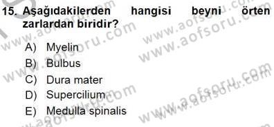 İnsan Anatomisi Ve Fizyolojisi Dersi 2015 - 2016 Yılı (Final) Dönem Sonu Sınavı 15. Soru