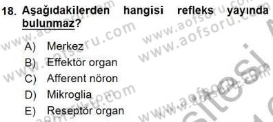 İnsan Anatomisi Ve Fizyolojisi Dersi 2015 - 2016 Yılı (Final) Dönem Sonu Sınavı 18. Soru