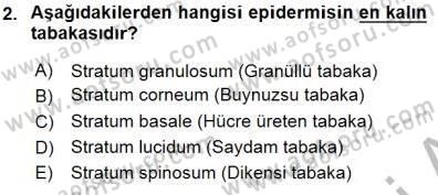 İnsan Anatomisi Ve Fizyolojisi Dersi 2015 - 2016 Yılı (Final) Dönem Sonu Sınavı 2. Soru